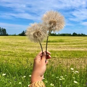 Meet your Posher, Melanie